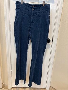 We The Free Men's Dark Navy Corduroy Pants